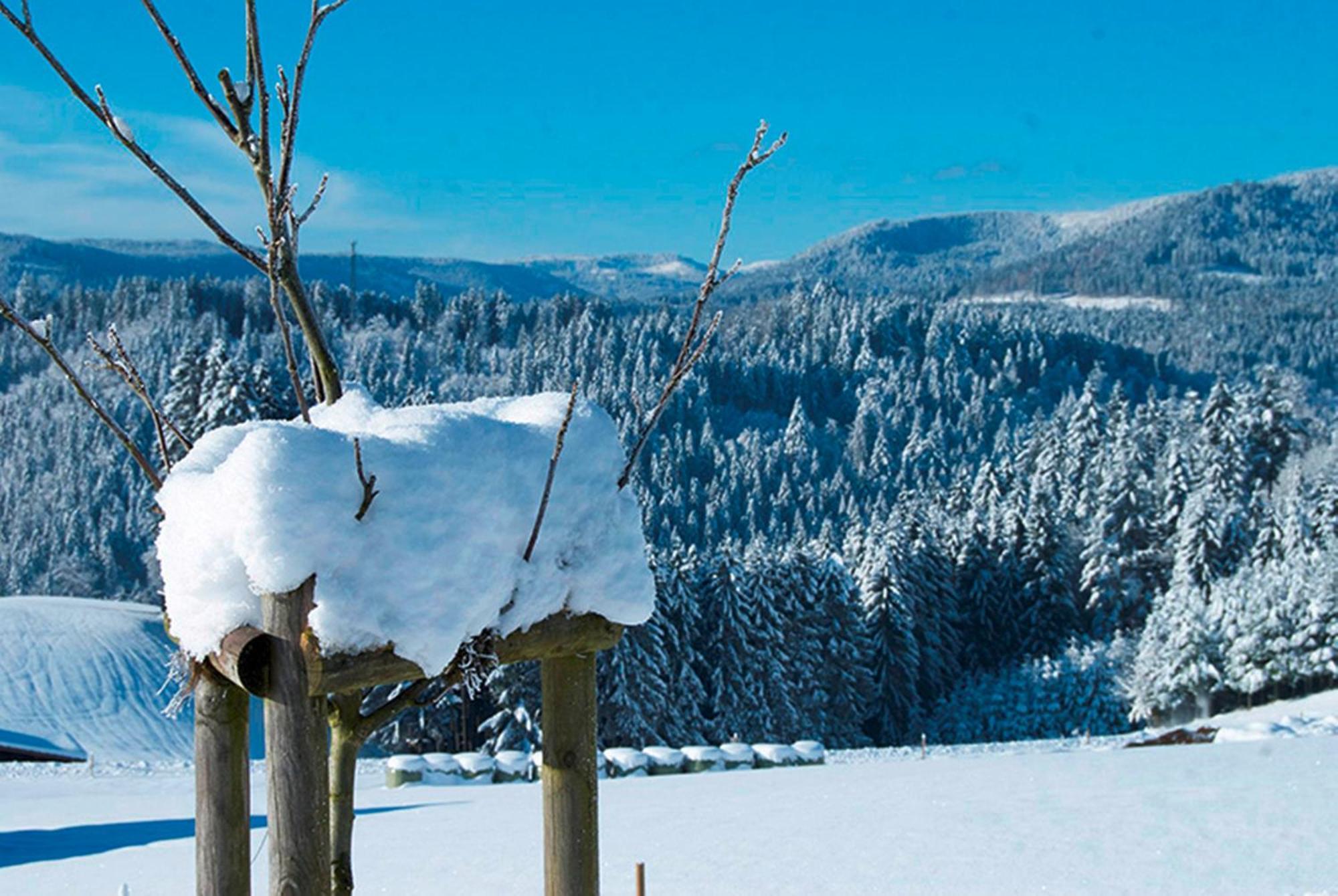 Landhaus Sackmann Baiersbronn Esterno foto